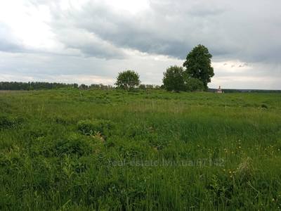 Buy a lot of land, for building, Kozhychi, Yavorivskiy district, id 4569643