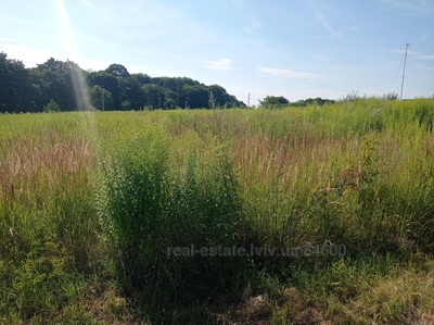 Buy a lot of land, for building, Podberezcy, Pustomitivskiy district, id 4130350