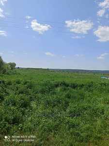 Buy a lot of land, for building, Центральна, Zvenigorod, Pustomitivskiy district, id 5151567