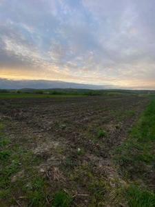 Купити ділянку, сільськогосподарського, Малі Грибовичі, Жовківський район, id 4786591