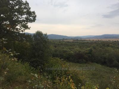 Buy a lot of land, agricultural, Шевченка, Verkhnee Sinovidnoe, Skolivskiy district, id 5150637