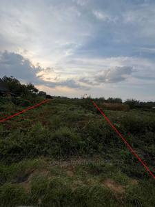 Buy a lot of land, Данила Галицького, Dublyani, Zhovkivskiy district, id 4945981