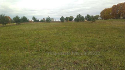 Buy a lot of land, for building, Birki, Yavorivskiy district, id 5036709