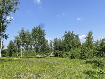 Buy a lot of land, Malekhov, Zhovkivskiy district, id 4613282