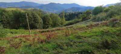 Buy a lot of land, agricultural, Slavsko, Skolivskiy district, id 4729384