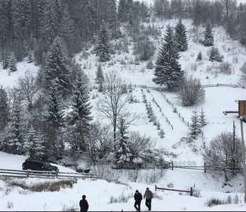 Купить участок, под застройку, Нижняя Рожанка, Сколевский район, id 5046268