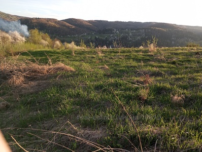 Buy a lot of land, Truskavets, Drogobickiy district, id 4855573