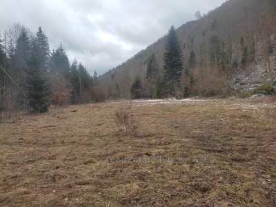 Buy a lot of land, agricultural, Grebeniv, Skolivskiy district, id 4729374