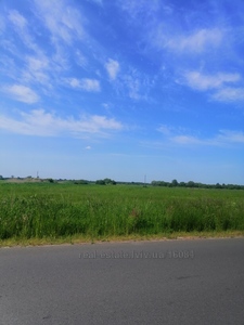 Buy a lot of land, Ivana Sirka Street, Sokilniki, Pustomitivskiy district, id 5066193