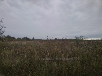 Buy a lot of land, for building, Pustomity, Pustomitivskiy district, id 4780110