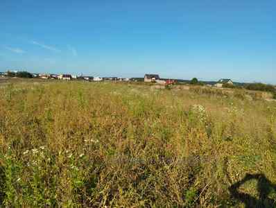 Buy a lot of land, for building, Davidiv, Pustomitivskiy district, id 4827528