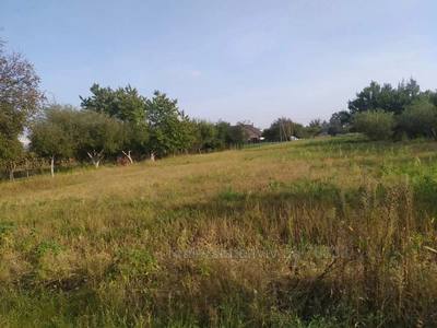 Buy a lot of land, Rakovec, Pustomitivskiy district, id 4712024