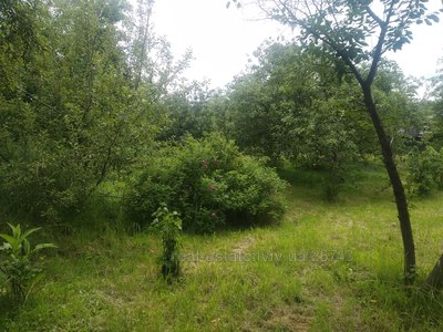 Buy a lot of land, Bartativ, Gorodockiy district, id 4715196