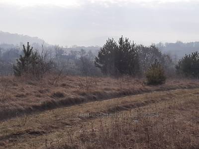 Buy a lot of land, commercial, за стадіоном, Godovica, Pustomitivskiy district, id 5132396