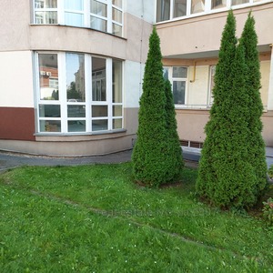 Buy an apartment, Chornovola-V-prosp, Lviv, Shevchenkivskiy district, id 4982768