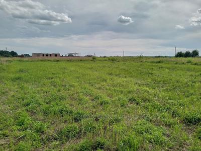 Buy a lot of land, Стуса, Pidryasnoe, Yavorivskiy district, id 4683539