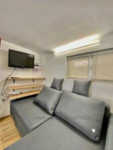 Rent an apartment, Bryukhovichi, Lvivska_miskrada district, id 4720792