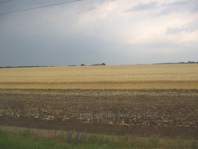 Buy a lot of land, Basovka, Pustomitivskiy district, id 4722406
