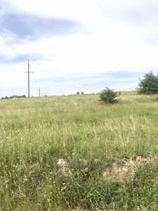 Buy a lot of land, for building, Porshna, Pustomitivskiy district, id 5150768