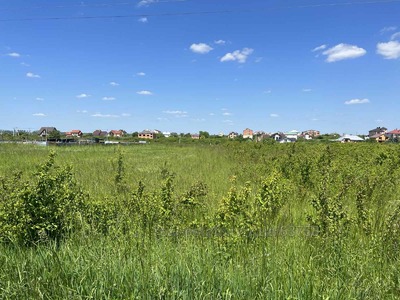 Buy a lot of land, for building, Kamenopol, Pustomitivskiy district, id 4703811