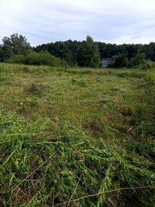 Buy a lot of land, for building, Рясне-Руське, Ryasne-Rus'ke, Lvivska_miskrada district, id 4857455