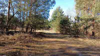 Buy a lot of land, for building, лісосмуга, Soluki, Yavorivskiy district, id 4777112