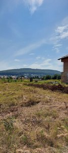 Buy a lot of land, for building, Lisinichi, Pustomitivskiy district, id 4797910