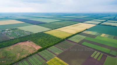 Buy a lot of land, for building, Davidiv, Pustomitivskiy district, id 4696820