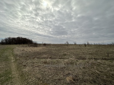 Buy a lot of land, for building, проектована, Podberezcy, Pustomitivskiy district, id 4638540