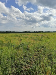 Купити ділянку, під забудову, Шевченка Т. вул., Львів, Шевченківський район, id 5132816