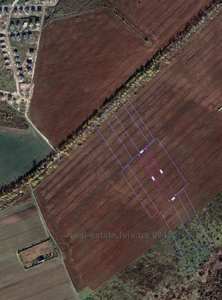 Buy a lot of land, agricultural, Solonka, Pustomitivskiy district, id 5153149