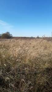 Buy a lot of land, agricultural, Solonka, Pustomitivskiy district, id 4902829