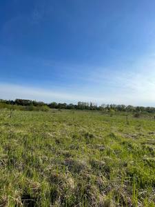 Buy a lot of land, for building, Kozhichi, Yavorivskiy district, id 4783948