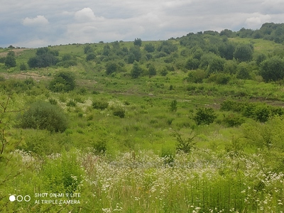 Купити ділянку, Сокільники, Пустомитівський район, id 4730058