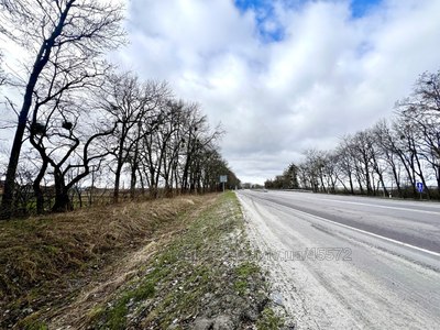 Купити комерційну нерухомість, Центральна, Старий Милятин, Буський район, id 4909601