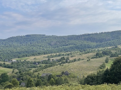 Купить участок, сільськогосподарського, Долиновка, Сколевский район, id 4757105