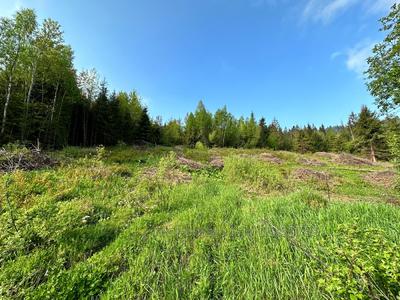 Купити ділянку, під забудову, Під Митою, Орявчик, Сколівський район, id 5065744