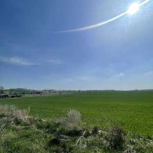 Buy a lot of land, agricultural, Brodki, Mikolajivskiy district, id 4617649