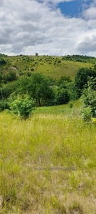 Buy a lot of land, Боднарська, Voronyaki, Zolochivskiy district, id 4749909