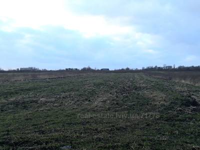 Buy a lot of land, agricultural, Yampol, Pustomitivskiy district, id 4733267