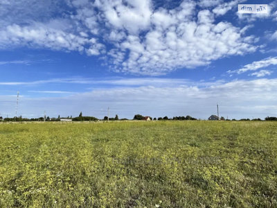 Buy a lot of land, agricultural, Sokilniki, Pustomitivskiy district, id 4712965