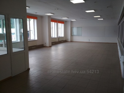 Commercial real estate for rent, Business center, Shevchenka-T-vul, Lviv, Shevchenkivskiy district, id 4698953