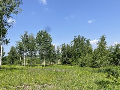 Buy a lot of land, Malekhov, Zhovkivskiy district, id 4740071