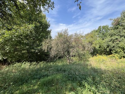 Buy a lot of land, Bigova-vul, Lviv, Lichakivskiy district, id 5013193