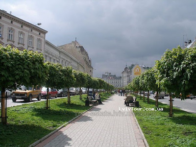 Зняти комерційну нерухомість, Фасадне з окремим входом, Руданського С. вул., Львів, Галицький район, id 4902943