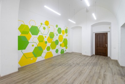 Commercial real estate for rent, Business center, Grabovskogo-P-vul, Lviv, Galickiy district, id 4926536