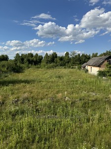 Buy a lot of land, for building, Sknilov, Pustomitivskiy district, id 4684584
