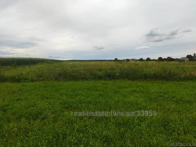 Buy a lot of land, for building, Polyanka, Pustomitivskiy district, id 4783975