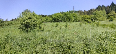 Buy a lot of land, agricultural, Стрийська, Novyy Kropivnik, Drogobickiy district, id 4756484