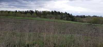 Buy a lot of land, commercial, комерція, Godovica, Pustomitivskiy district, id 4975503